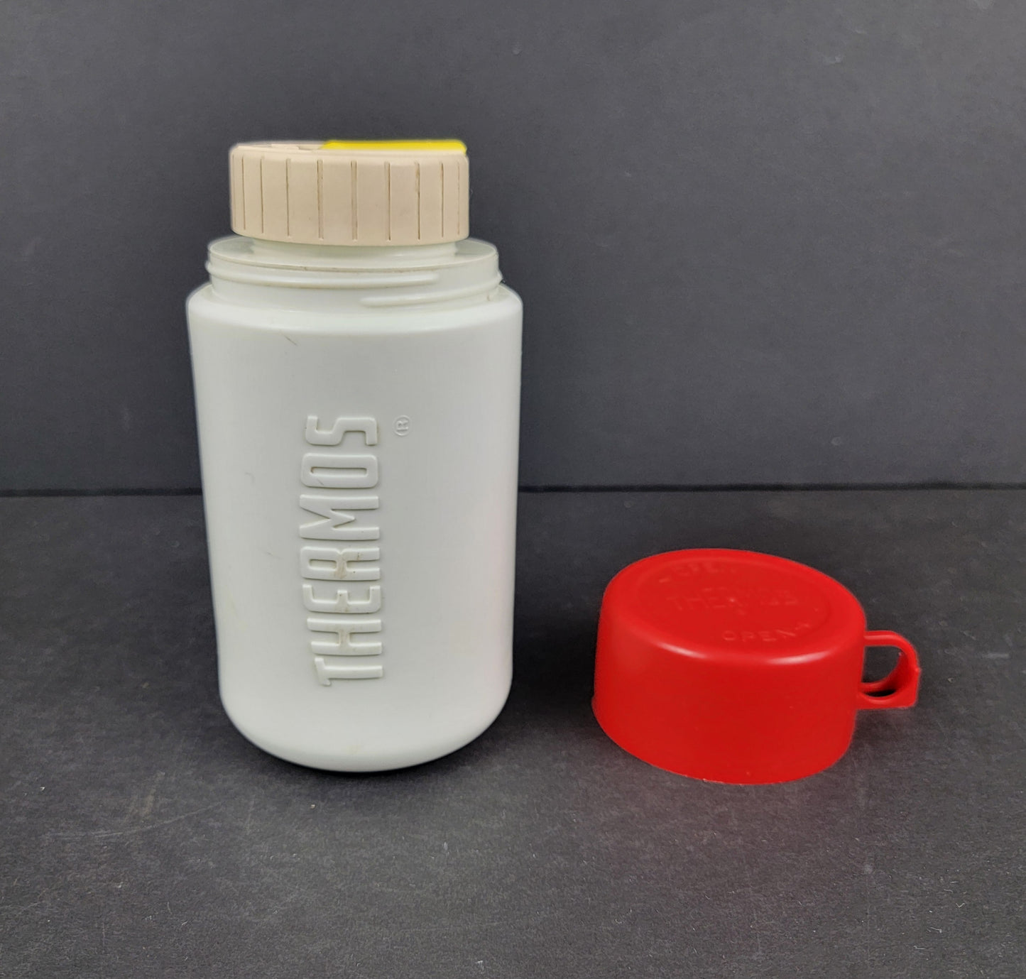 Garfield Plastic Lunchbox & Thermos - 1978