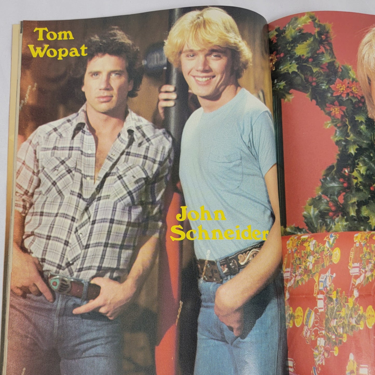 TIGER BEAT STAR Magazine, January 1982