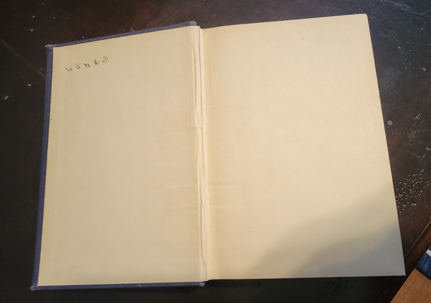 1922 BlueJacket's Manual